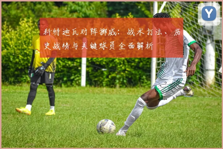 科特迪瓦对阵挪威：战术打法、历史战绩与关键球员全面解析