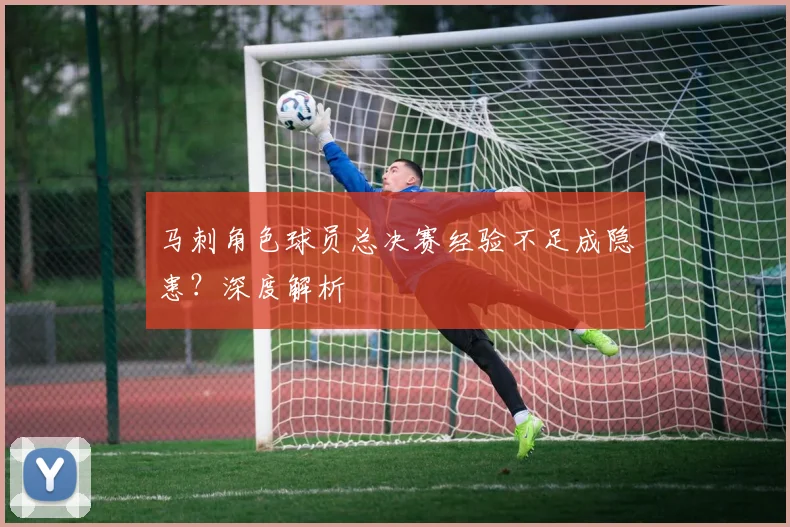 马刺角色球员总决赛经验不足成隐患？深度解析
